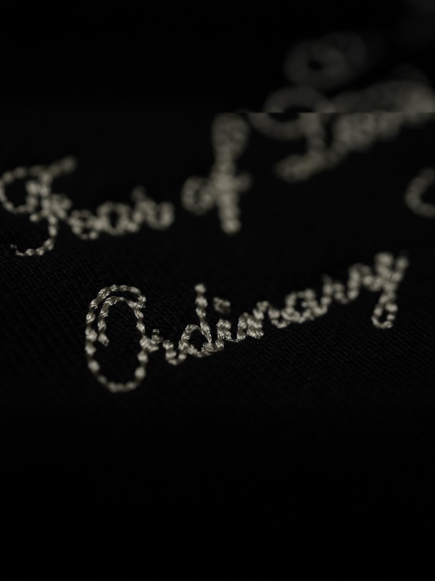 ISEME EMBROIDERED HOODIE